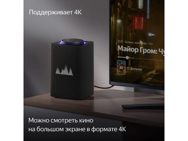 Умная колонка Яндекс Станция Макс с Zigbee YNDX-00053K Graphite